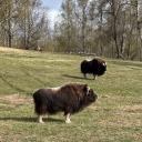 norestforthespookywriters avatar