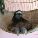 normal-freaking-person avatar