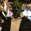 normal-person-i-think avatar