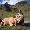 normal-situation avatar