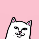 normalhumanthings avatar