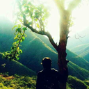 normalmadman-universe-blog1 avatar