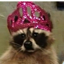 normalwithadashofinsane avatar