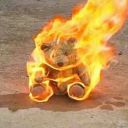 normanbatessupremacy avatar