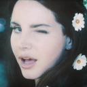 normanrckwell avatar