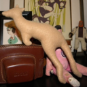 noroomforthepresent avatar