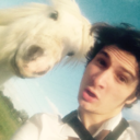 norovices-de-caelo avatar