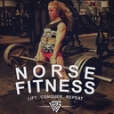 norsefitness avatar