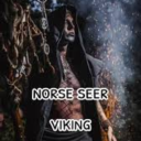 norseseerviking avatar