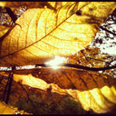 north-42-83-blog avatar