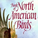 northamericanbirds avatar