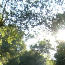 northbynorthwesterly avatar