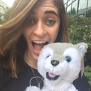 northeastern-alexishester avatar