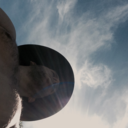 northern-forest avatar