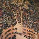 northern-spies avatar