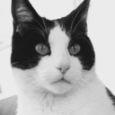 northernduwnpour avatar