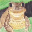 northernkingoffrogs avatar