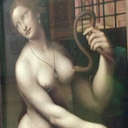 northernlightsbitches avatar