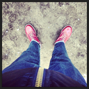 northernoiboy avatar