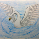 northernswan avatar