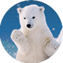 northpolebear avatar