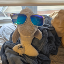 northshorewave avatar