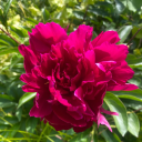 northsouthcollab avatar