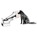 northstar-fullmoon avatar