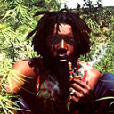 northwestnaturalchronicles avatar