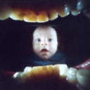 nosaurus-blog-blog avatar