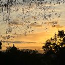 noseeeeaaaaaaa avatar