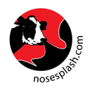 nosesplash avatar