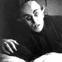 nosferatu-my-beloved avatar