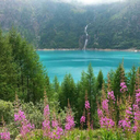 nostalgiadiunsogno avatar