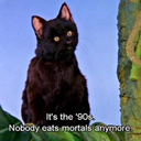 nostalgialove avatar