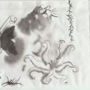 nostalgiamuse avatar