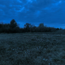 nostalgiaprofunda avatar