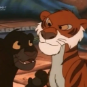 nostalgicpanther avatar