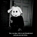 nostalgicpixies avatar