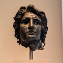 not-a-bit-tamed avatar