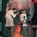 not-a-lame-llama avatar