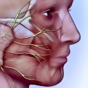 not-a-medical-student avatar