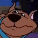 not-a-motobug avatar