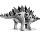 not-adinosaur avatar