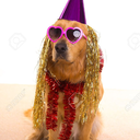 not-even-the-nsa-cares avatar