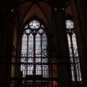 not-fucking-dead avatar