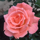 not-in-use-anymore-blog avatar