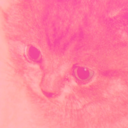 not-liczeraly-me avatar