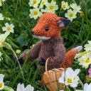 not-out-of-the-woods-yet avatar