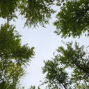 not-quite-a-villian avatar